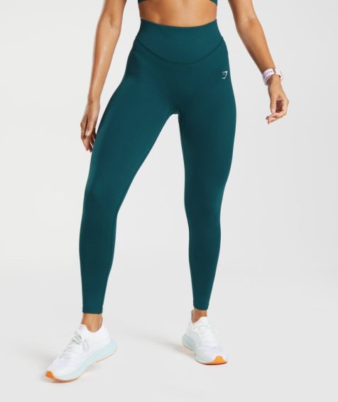 Women's Gymshark Sweat Seamless Sculpt Leggings Turquoise | CA N618D7